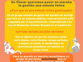 Gestión de una colonia felina en Víznar